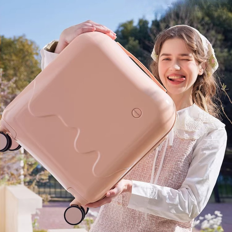 Small Children's Luggage 20 In - đánh giá và giá Spinner Wheel Rolling Suitcase 20 Inch